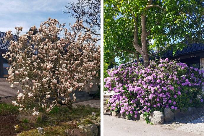8 rum Villa på Anton Nils väg 1 Blentarp Sjöbo kommun - bild 29