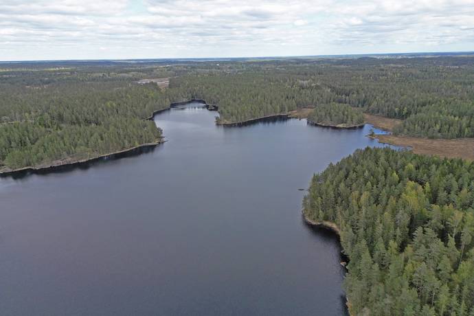 Gård med skogsbruk på Skogsfastighet 308 ha - Kan förvärvas av juridisk person Katrineholms kommun - bild 2