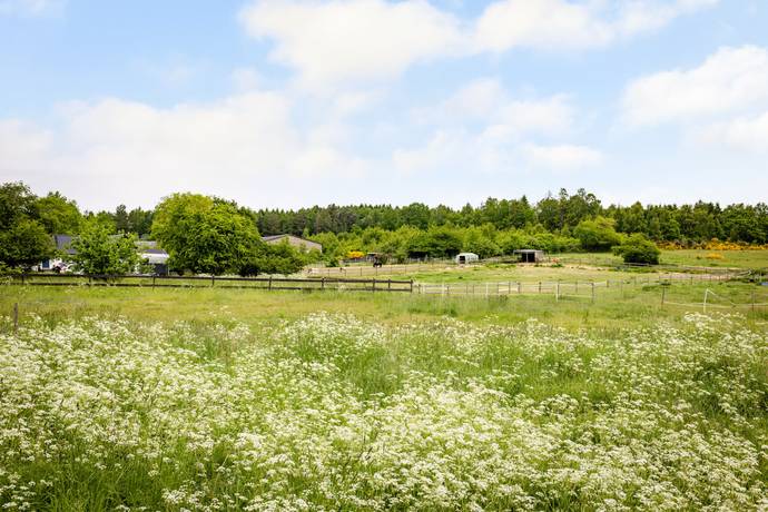 tomt på Sandvångsvägen 53 Vik, Simrishamns kommun - bild 1