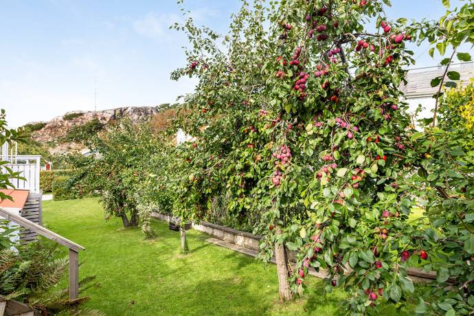 9 rum Villa på Båtsmansvägen 4 Rönnäng Tjörns kommun - bild 46