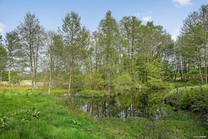 Tomt på Långaröd 569 Röstånga Svalövs kommun - bild 15