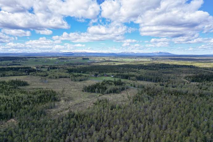 Gård/skog på Åre Rörön 1:2, 2:2 samt 2:3 Åre kommun - bild 33