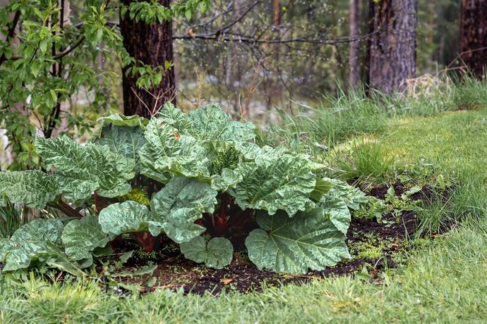4 rum Villa på Levigatan 20 Hede Härjedalens kommun - bild 28