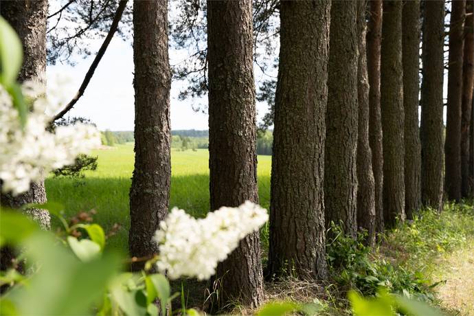 4 rum Villa på Godkärravägen 1 Fagersta kommun - bild 28
