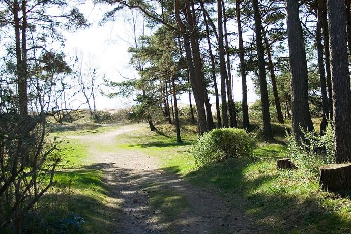 5 rum Villa på Yxenvägen 9 Alet Halmstads kommun - bild 37