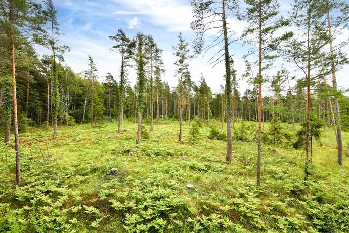 Västergarn Mafrids 554, Västra Gotland, Gotlands kommun