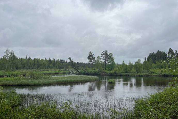 Nattavaara, Gällivare kommun