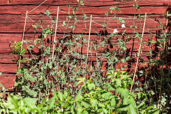 2 rum Lägenhet på Engelbrektsgatan 8 Elsborg Falu kommun - bild 29