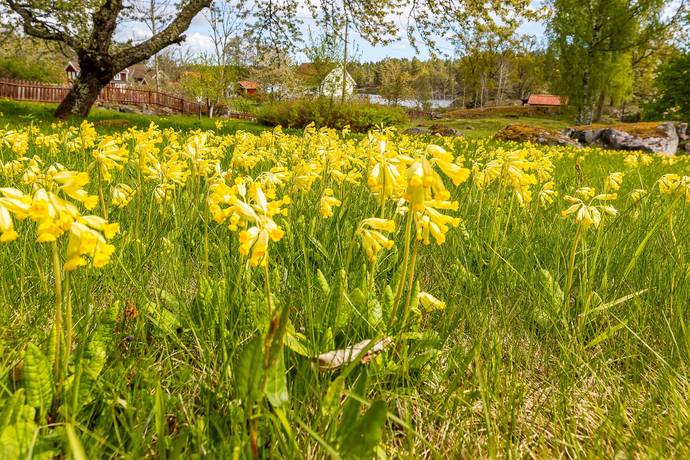 4 rum Villa på Flivik 19-21 Figeholm Oskarshamns kommun - bild 74