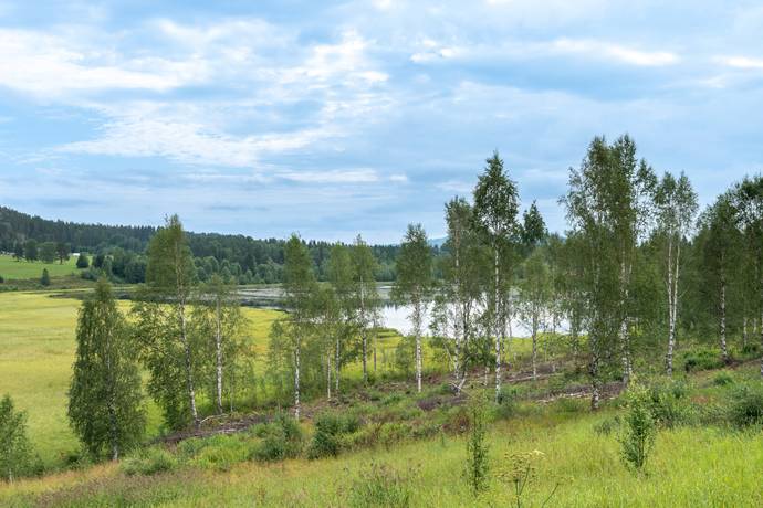 5 rum villa på Nyliden 223 Nyliden, Örnsköldsviks kommun - bild 3