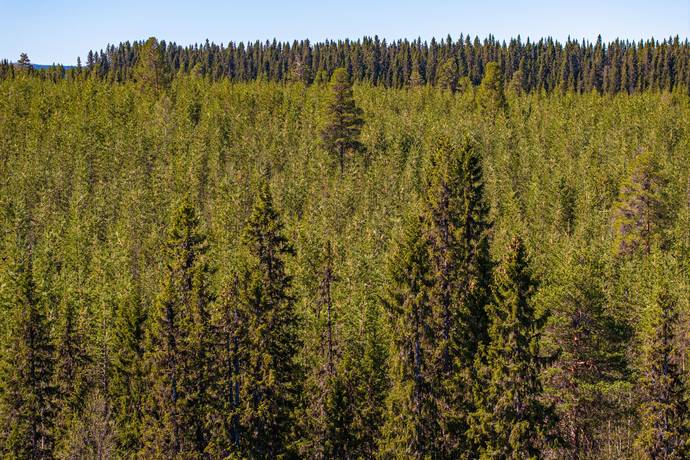 118 m² Gård/skog på Laxbäcken 224 Vilhelmina kommun - bild 17