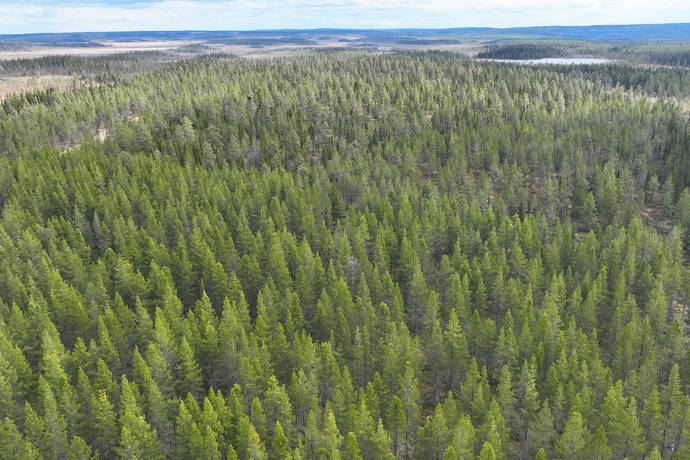 gård med skogsbruk på HÄRJEDALEN HÅN 9:13, 14:6, 14:7 Vemhån, Härjedalens kommun - bild 5
