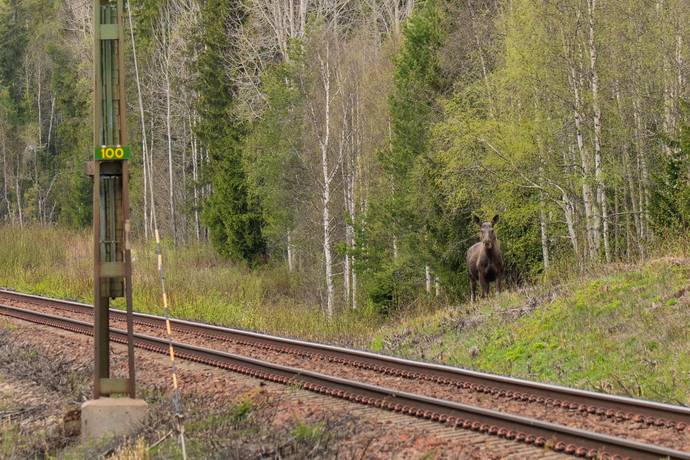 1 rum Fritidshus på Kyrkvägen 15 Nyåker Nordmalings kommun - bild 24