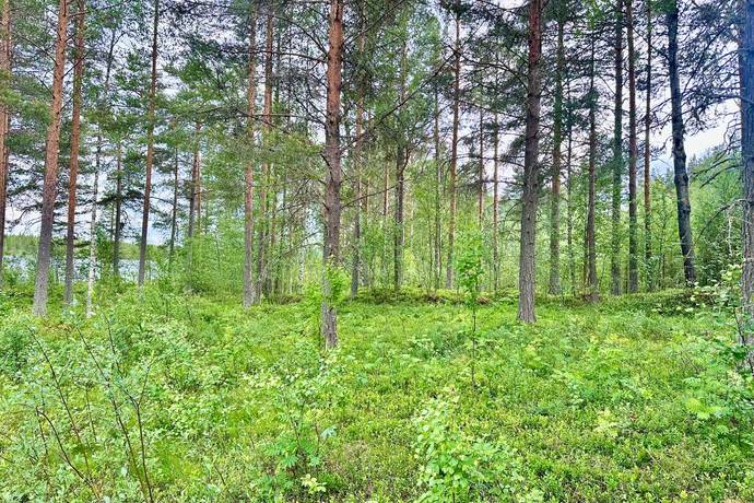 64 m² Gård/skog på Mosätt 249 Mosätt Härjedalens kommun - bild 24
