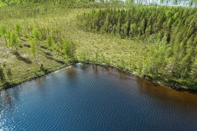 2 rum Gård/skog på Tjärliden 41 Arvidsträsk Älvsbyns kommun - bild 22