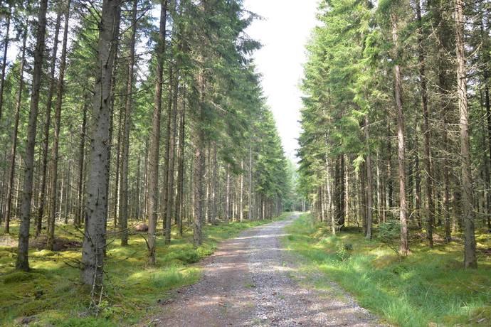 gård med skogsbruk på Näglinge Storegård 2 Angelstad, Ljungby kommun - bild 3