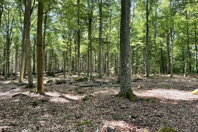 191 m² Gård utan jordbruk på Torarpsvägen 291 Torarp Karlshamns kommun - bild 34