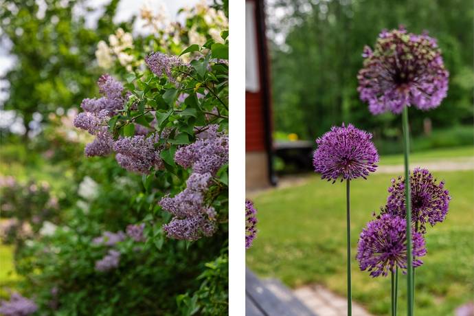 5 rum vinterbonat fritidshus på Marsjö Framnäs 1 Marsjö/Byle, Vingåkers kommun - bild 5