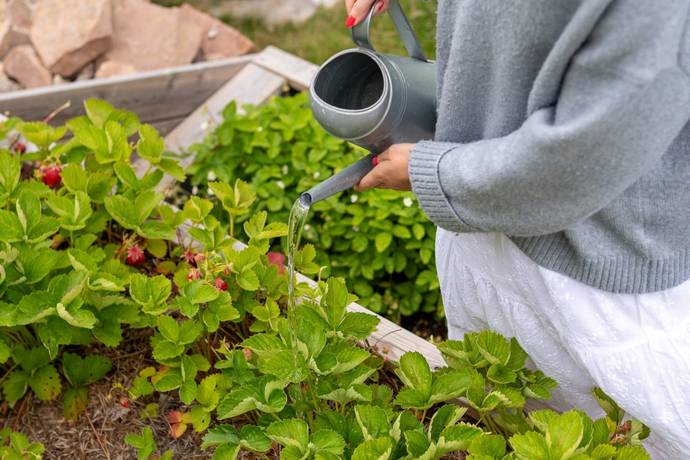 6 rum villa på Sidensvansvägen 5 Hallstahammar, Hallstahammars kommun - bild 5
