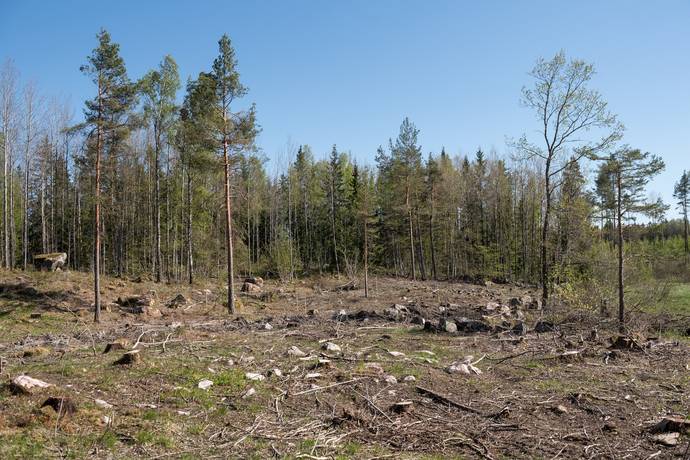 Tomt på Möllerstorp 101 Sala Sala kommun - bild 11
