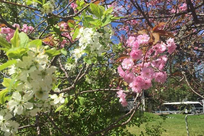 9 rum Villa på Semestervägen 4 Träkvista Ekerö kommun - bild 50
