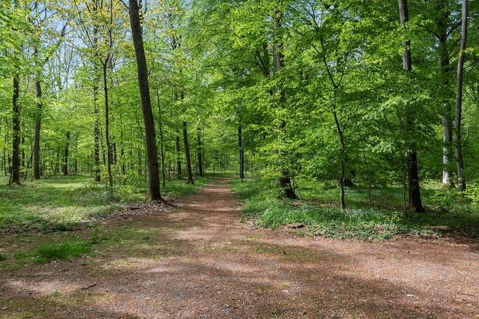 3 rum Villa på Skaddevägen 16 Degeberga Kristianstads kommun - bild 23