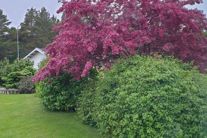 6 rum Villa på Rotegatan 25 Byske Skellefteå kommun - bild 38