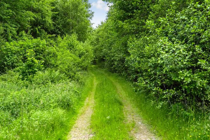 Tomt på Drömtomt med generösa 13 hektar – positivt förhandsbesked, jakträtt och vacker natur nära Billinge! Billinge Eslövs kommun - bild 10