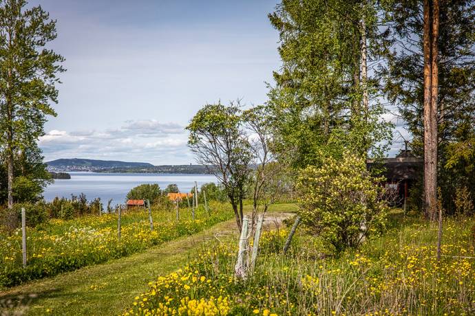 20 rum Gård/skog på Grytan 112 Grytan Östersunds kommun - bild 82