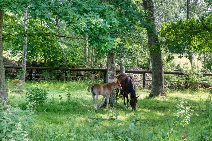 191 m² Gård utan jordbruk på Torarpsvägen 291 Torarp Karlshamns kommun - bild 58