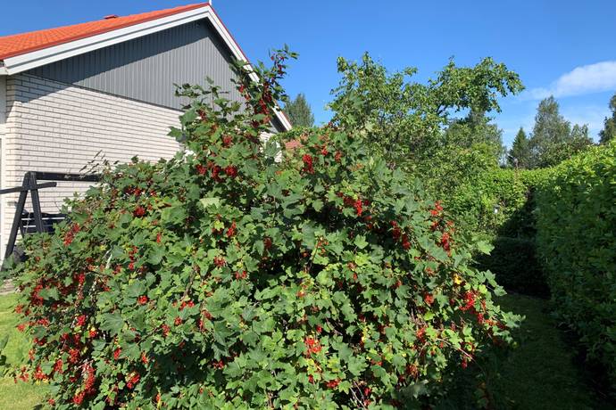 4 rum villa på Ormbärsvägen 21 Böleäng, Umeå kommun - bild 4