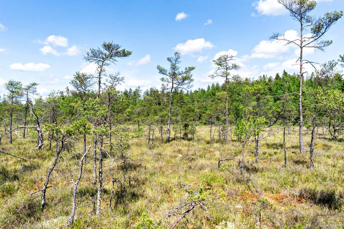 2 rum Fritidshus på Tjärnhult 2 Skogsbygden Vårgårda kommun - bild 14