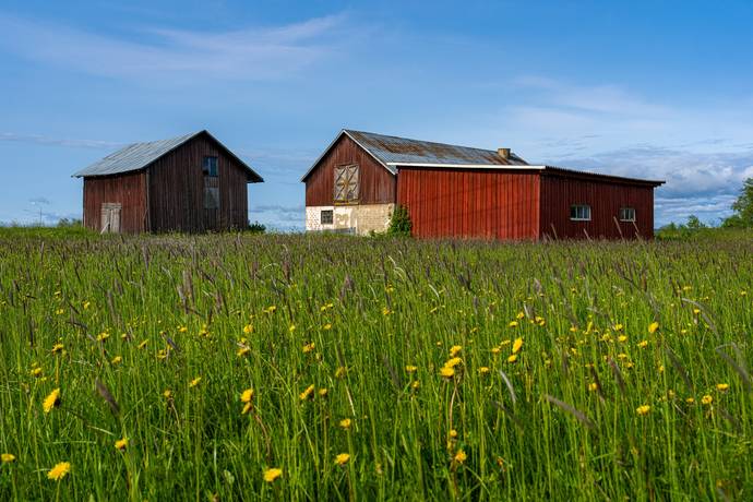 Gård med jordbruk på Salom Bergs kommun - bild 27