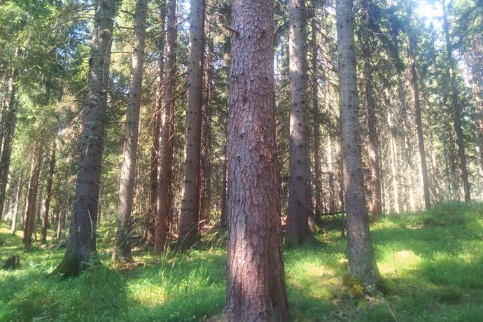 Hyttskogen Resta, Ramsberg, Lindesbergs kommun