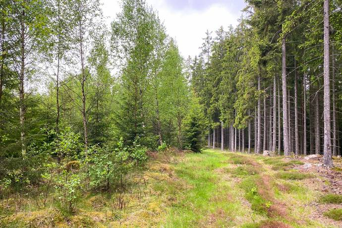 Gård med jordbruk på Dannäs Jonsbo 4 Dannäs ca 4 km från sjön Bolmen Värnamo kommun - bild 35