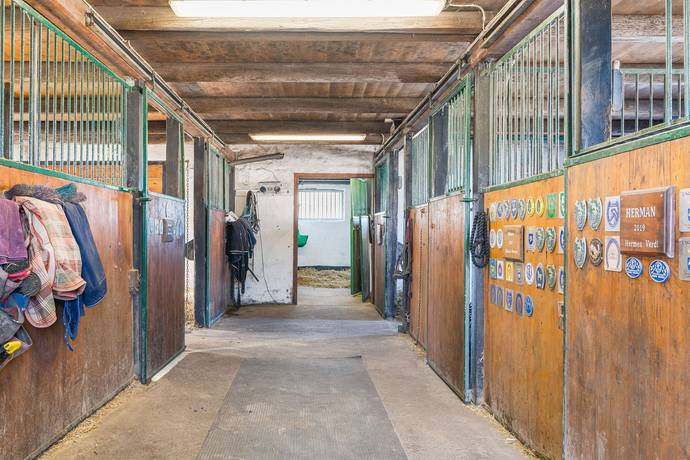 Gård utan jordbruk på Kyrkvägen 27 Österlen Simrishamns kommun - bild 48