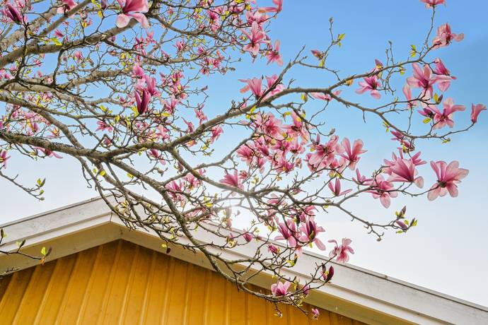 7 rum Villa på Skälbyvägen 25B Häggvik/Skälby Sollentuna kommun - bild 55