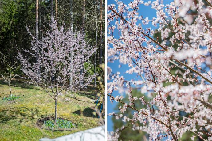 6 rum Villa på Vasalundsvägen 21 Lindholmen Vallentuna kommun - bild 30