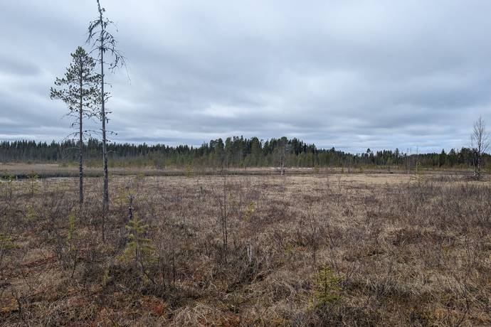 Blattnicksele, Sorsele kommun