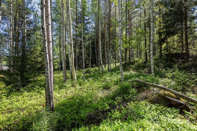 1 rum Fritidshus på Stenstorp 115 Stenstorp Finspångs kommun - bild 38