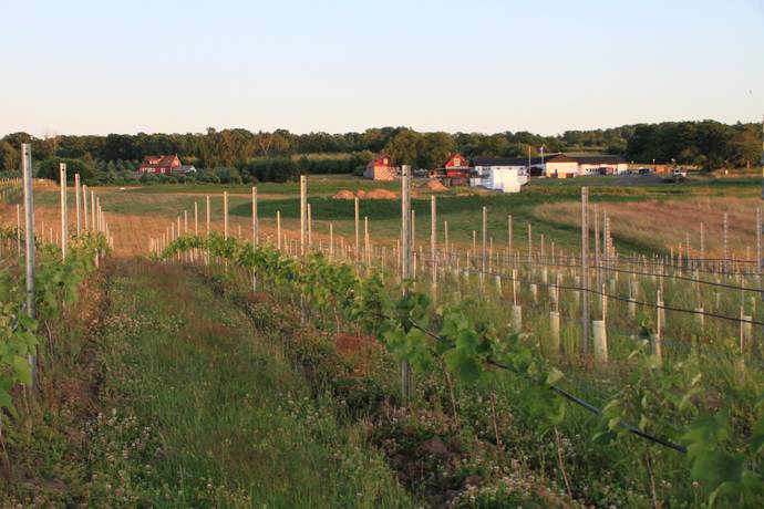 2 rum Lägenhet på Hjälmarödsvägen 14 Kivik Simrishamns kommun - bild 11