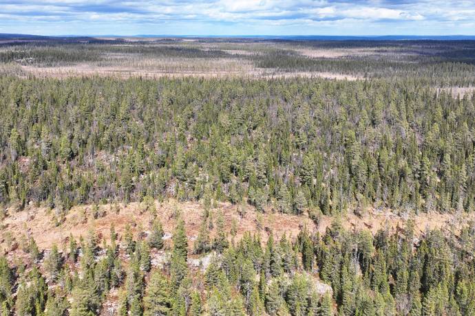 Gård med skogsbruk på HÄRJEDALEN HÅN 9:13, 14:6, 14:7 Vemhån Härjedalens kommun - bild 31