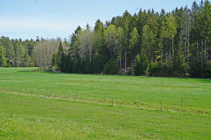 Gård/skog på Övre Hammarby Haninge kommun - bild 12