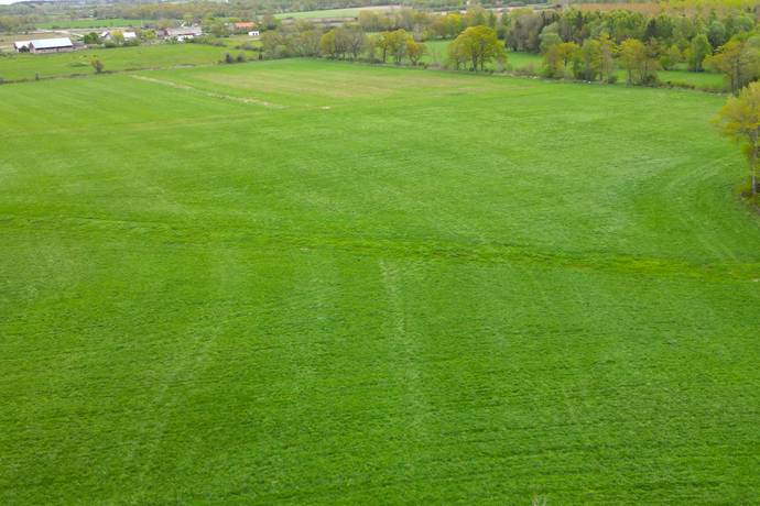 6 rum Gård med jordbruk på Loftagatan ÖLAND N BORGHOLM Borgholms kommun - bild 5