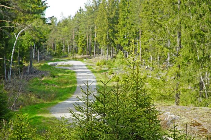 Gård/skog på Övre Hammarby Haninge kommun - bild 7