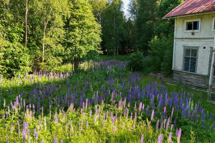 Köpmanholmen, Örnsköldsviks kommun