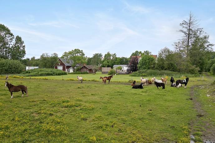 9 rum gård utan jordbruk på Härminge 424 Almbro, Örebro kommun - bild 4