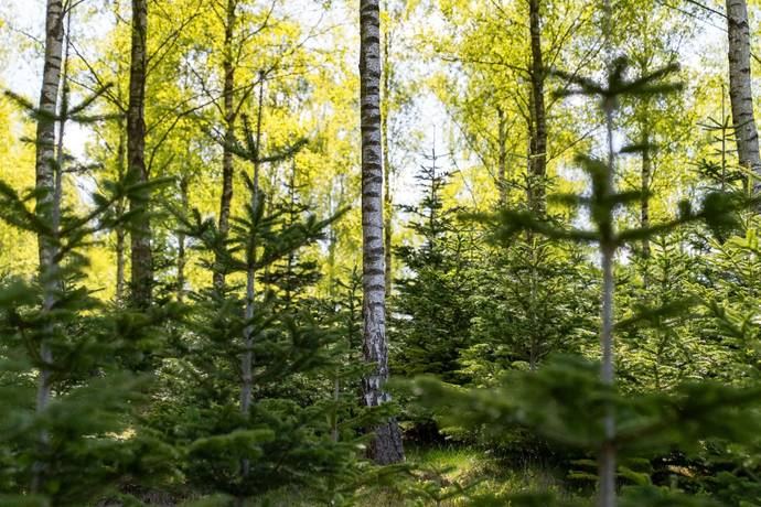 200 m² Gård utan jordbruk på Krokhusvägen 325 Ängelholm Ängelholms kommun - bild 75