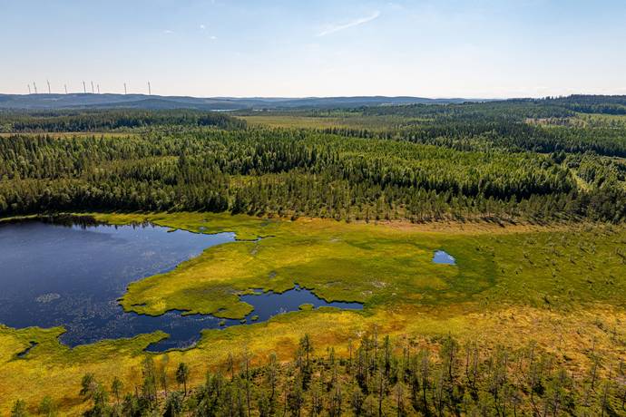 gård/skog på Ocksjön Bräcke, Bräcke kommun - bild 5