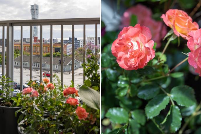 3 rum Lägenhet på Dockgatan 49 A Dockan Malmö kommun - bild 7